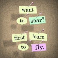 before-soar-learn-to-fly